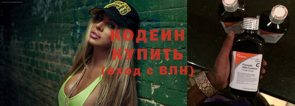 ECSTASY Богданович