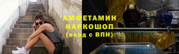 ECSTASY Богданович