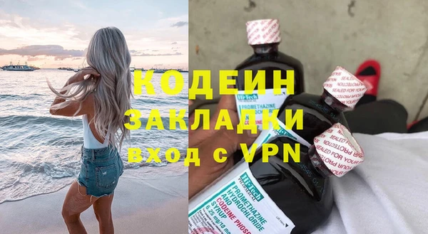 ECSTASY Богданович