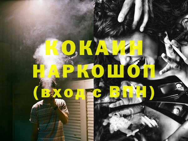 ECSTASY Богданович