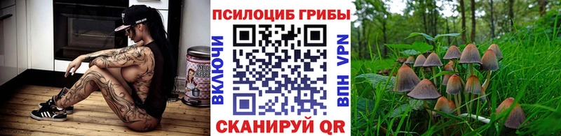 Псилоцибиновые грибы Psilocybine cubensis  как найти наркотики  Павловск 